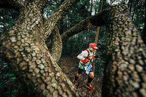 BIB: 
                            <button type="button" onclick="openModal(25393418)" class="btn btn-primary btn-sm float-right btn-popup" data-toggle="modal" data-target=".modal-high-quality">
                        <i class="fas fa-shopping-cart"></i> Add to Cart
                    </button>
                                            <button type="button" onclick="isThisMe(25393418, true)" class="btn btn-success btn-sm float-right btn-popup btn-isme hidden" data-toggle="tooltip" data-placement="bottom" title="นี่คือรูปของคุณใช่ไหม คลิกที่นี่เพื่อเอาเข้าอัลบั้ม">
                        <i class="fas fa-plus"></i> Add to album
                    </button>
                    <button type="button" onclick="isThisMe(25393418, false)" class="btn btn-warning btn-sm float-right btn-popup btn-isnotme hidden">
                        <i class="fas fa-ban"></i> Remove from album
                    </button>